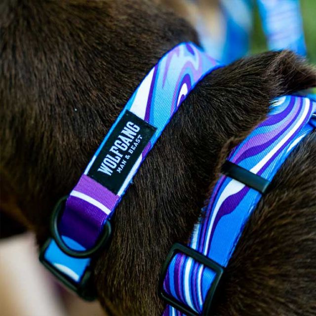 WOLFGANG WH-002 HARNESS M